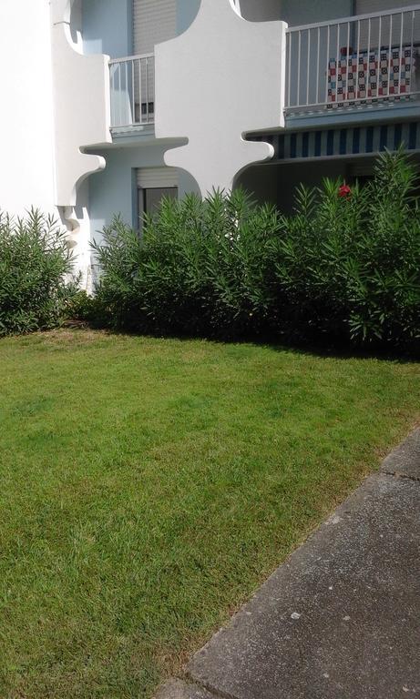 T3 Les Peupliers Proche Pasino Et Mer Apartment La Grande Motte Ngoại thất bức ảnh